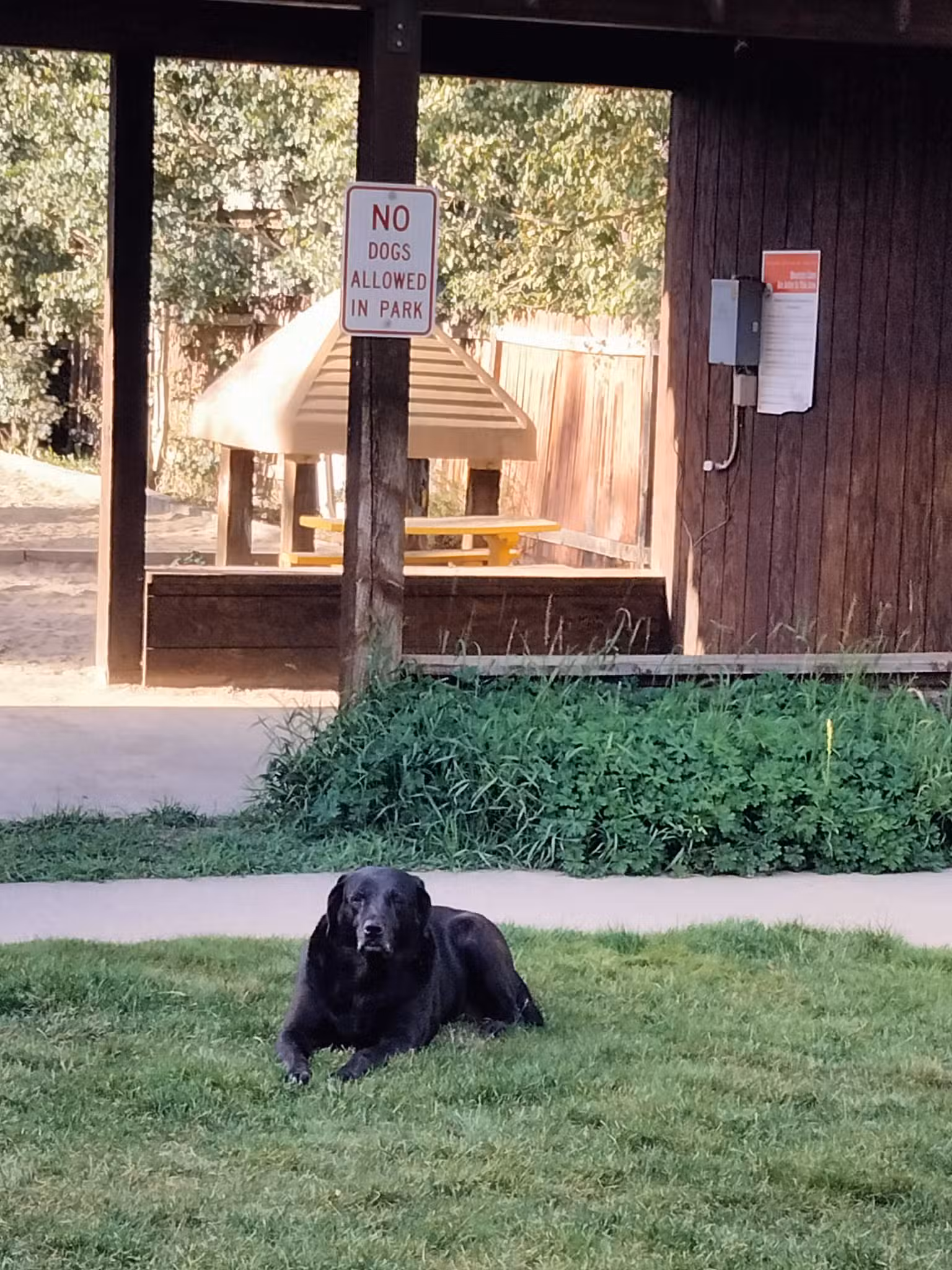 Playground - Crested Butte, CO