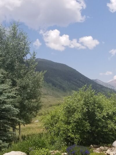 Playground - Crested Butte, CO