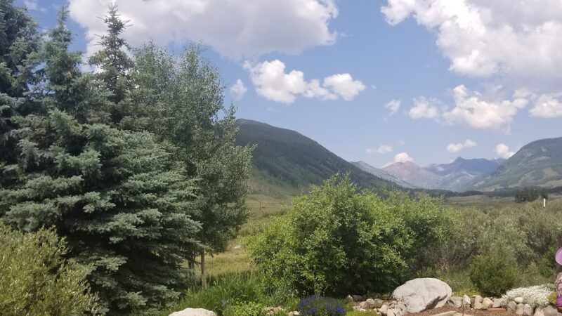 Playground - Crested Butte, CO
