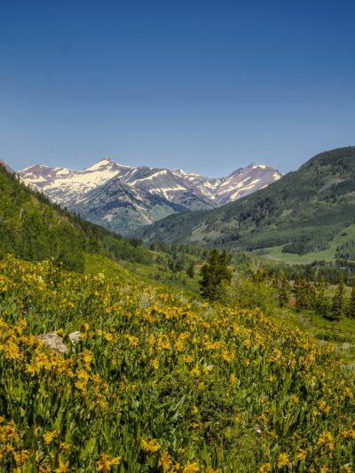 Woods Walk Trail Head - Crested Butte, CO