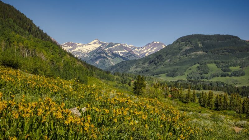 Woods Walk Trail Head - Crested Butte, CO