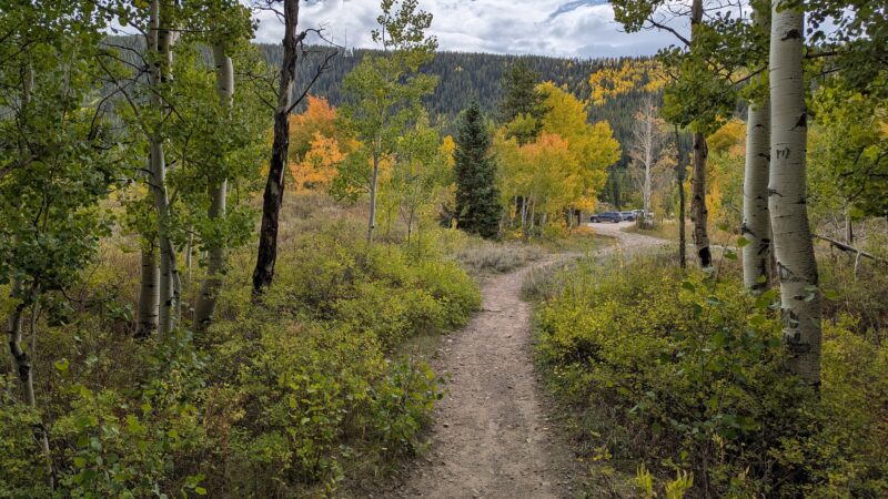 Woods Walk Trail Head - Crested Butte, CO