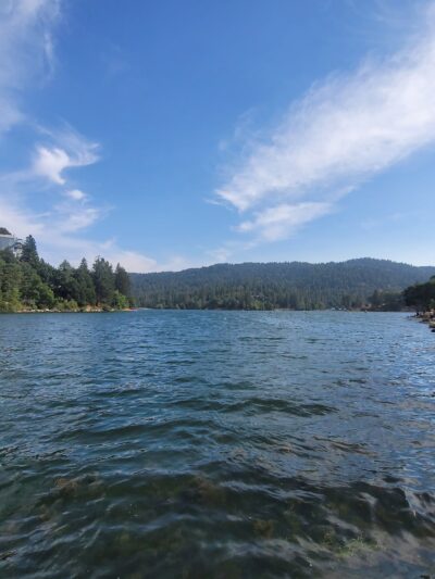 Lake Gregory Dog Park - Crestline, CA