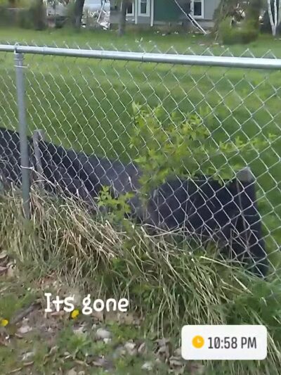 Peggy Baker Park - Crestwood, KY