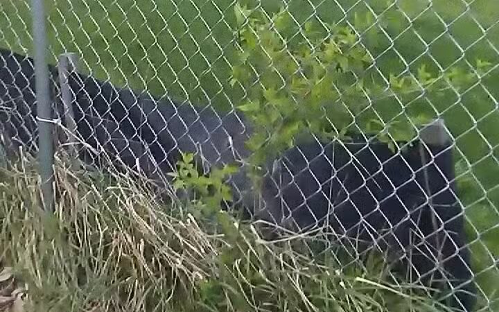 Peggy Baker Park - Crestwood, KY