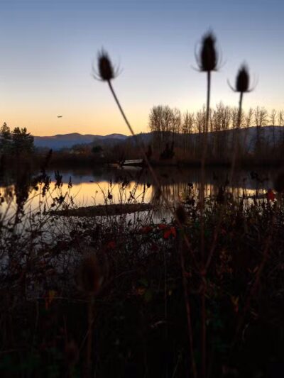 Garden Lake Park - Creswell, OR