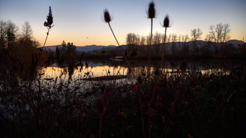 Garden Lake Park - Creswell, OR