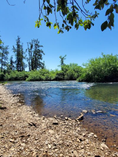 Lynx Hollow Park - Creswell, OR