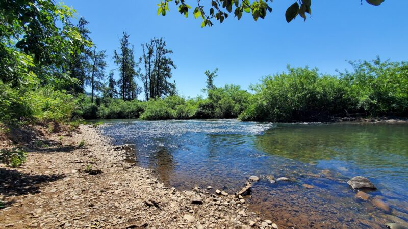 Lynx Hollow Park - Creswell, OR