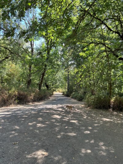 Lynx Hollow Park - Creswell, OR