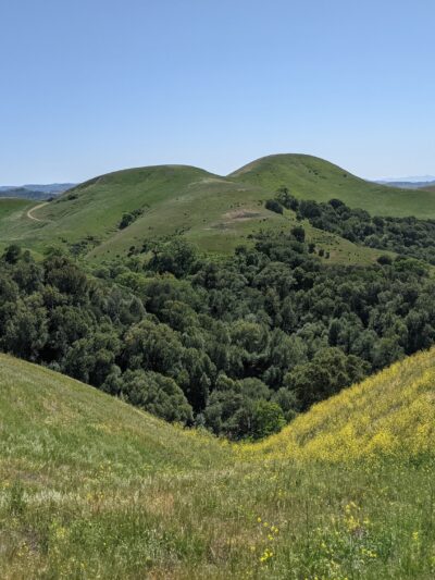 Crockett Hills Regional Park - Crockett, CA