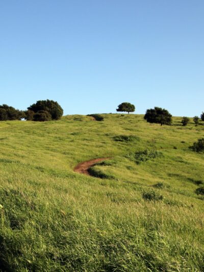 Crockett Hills Regional Park - Crockett, CA
