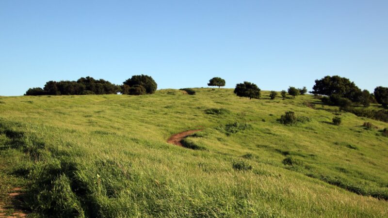 Crockett Hills Regional Park - Crockett, CA