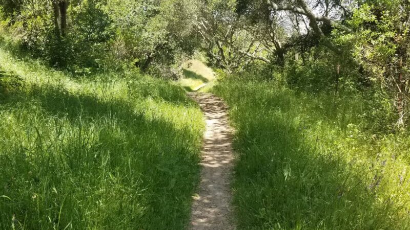 Crockett Hills Regional Park - Crockett, CA