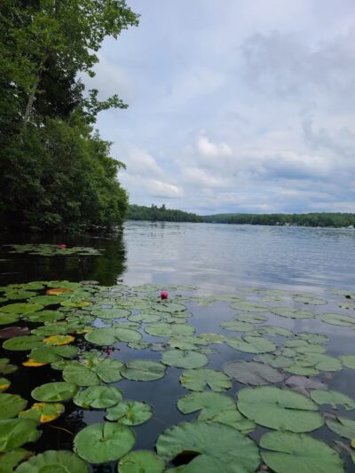 Dyken Pond Environmental Center - Cropseyville, NY