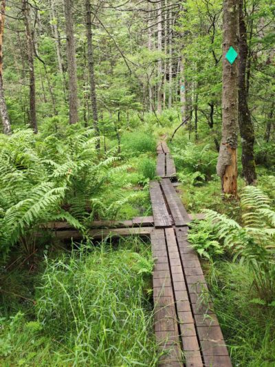 Dyken Pond Environmental Center - Cropseyville, NY