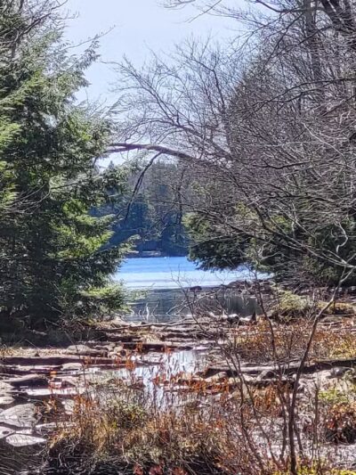 Dyken Pond Environmental Center - Cropseyville, NY