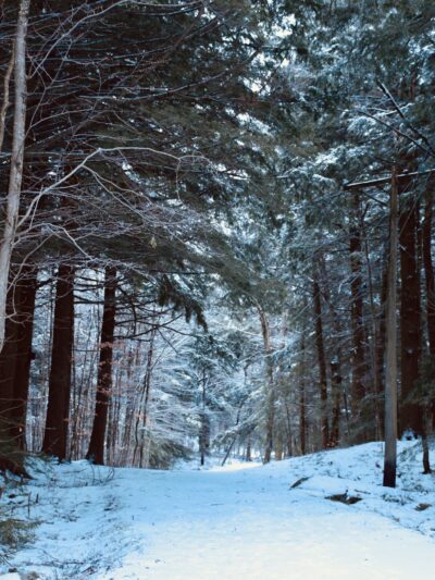 Dyken Pond Environmental Center - Cropseyville, NY