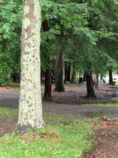 Grafton Lakes State Park Welcome Center - Cropseyville, NY