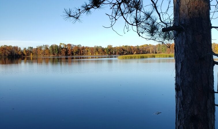 Fools Lake Campground - Crosby, MN