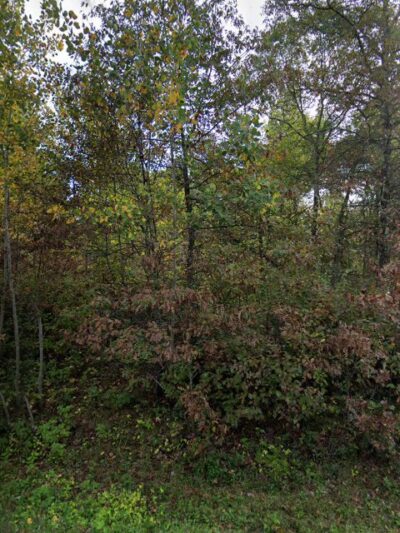 Fools Lake Campground - Crosby, MN