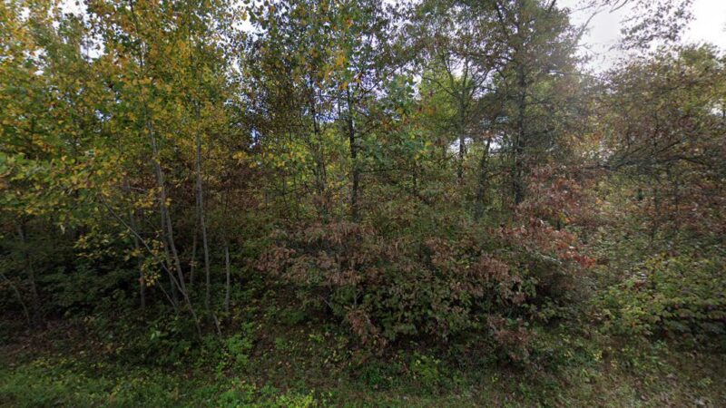 Fools Lake Campground - Crosby, MN