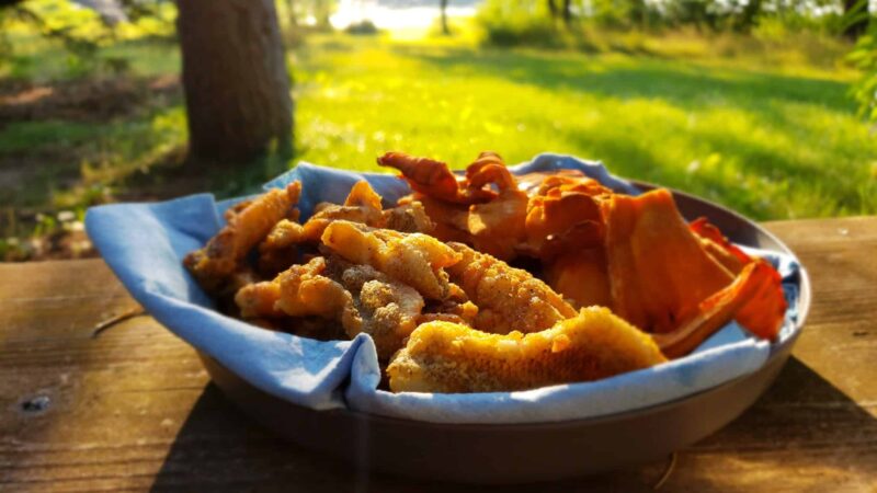 Greer lake Campground - Crosby, MN