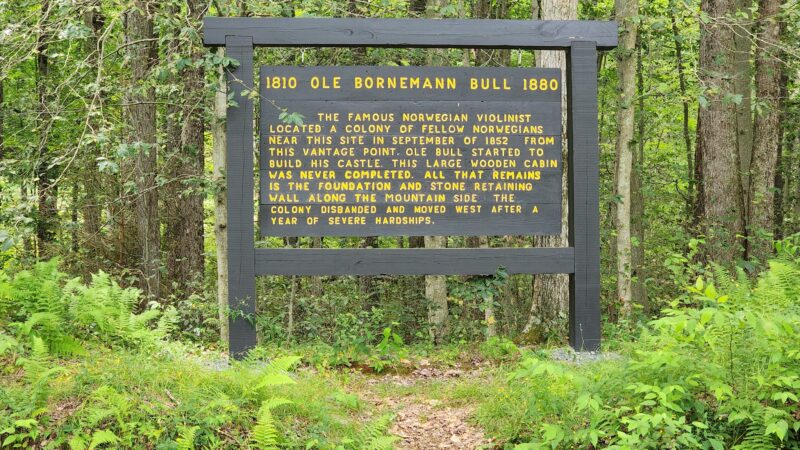 Ole Bull State Park - Cross Fork, PA