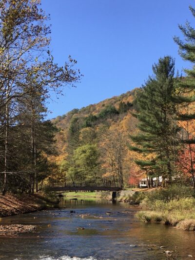 Ole Bull State Park - Cross Fork, PA