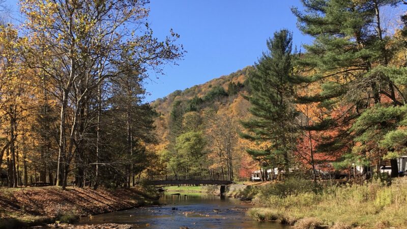 Ole Bull State Park - Cross Fork, PA