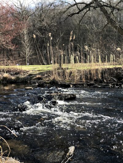 Ward Pound Ridge Reservation - Cross River, NY