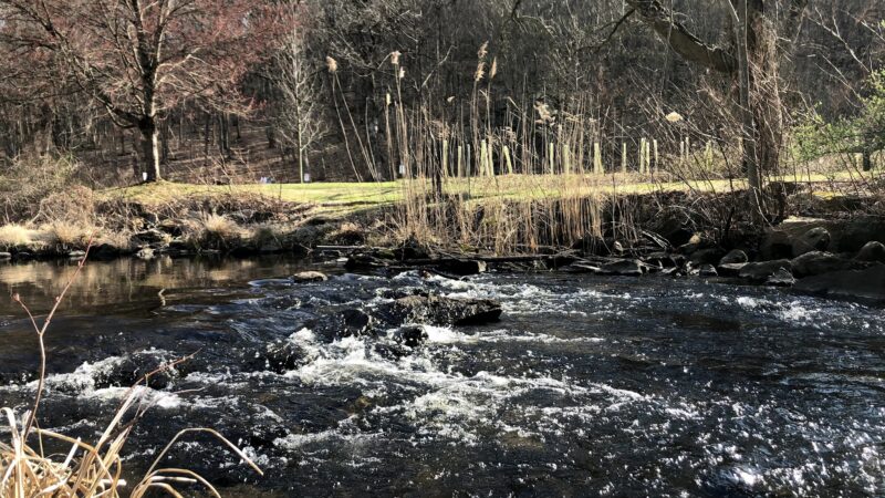 Ward Pound Ridge Reservation - Cross River, NY