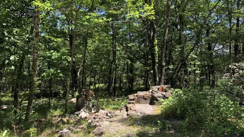 Ward Pound Ridge Reservation - Cross River, NY