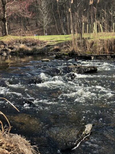 Ward Pound Ridge Reservation - Cross River, NY