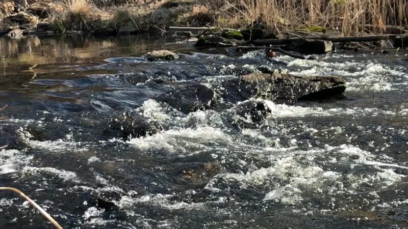 Ward Pound Ridge Reservation - Cross River, NY