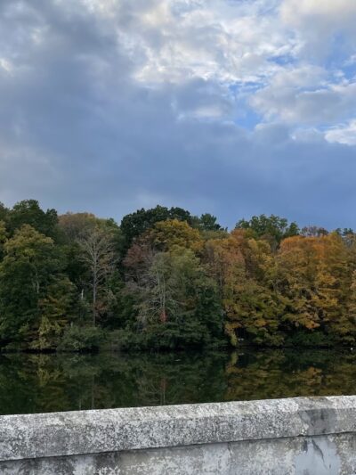 Ward Pound Ridge Reservation - Cross River, NY