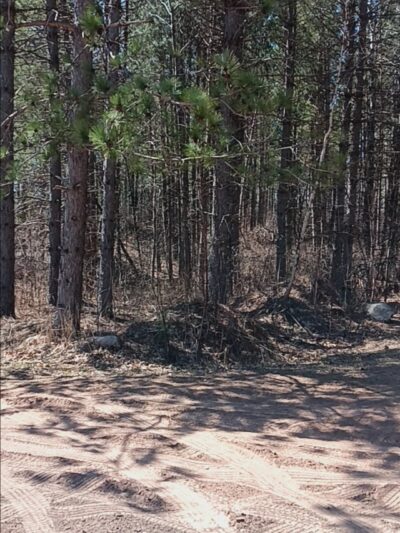 Scrub Oak Trail - Crosslake, MN