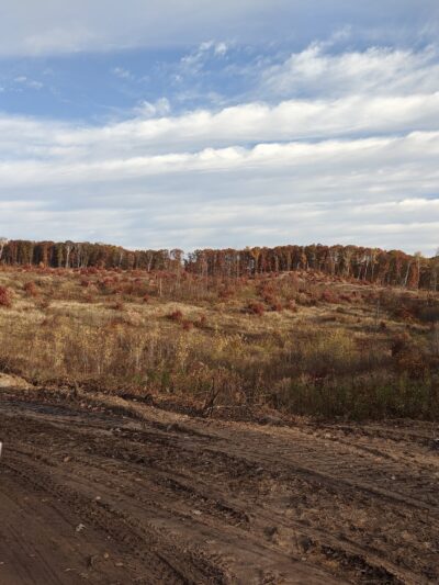 Scrub Oak Trail - Crosslake, MN
