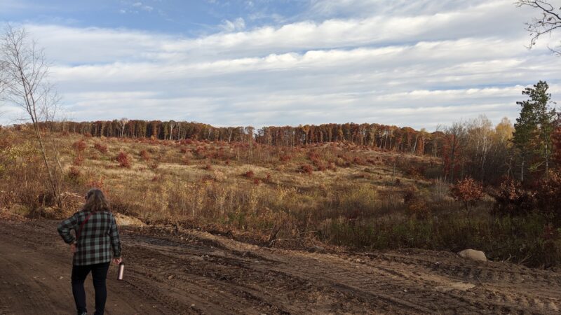 Scrub Oak Trail - Crosslake, MN