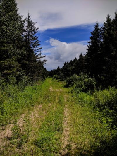 Scrub Oak Trail - Crosslake, MN