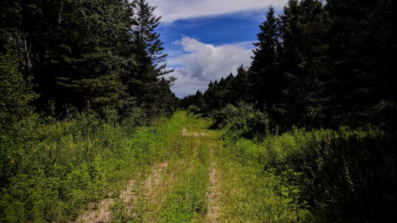 Scrub Oak Trail - Crosslake, MN