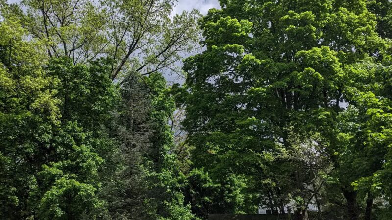 Vassallo Park - Croton-On-Hudson, NY