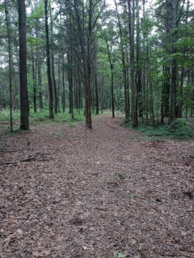Crump Park - Crump, TN
