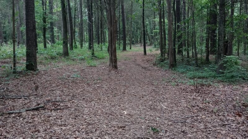 Crump Park - Crump, TN