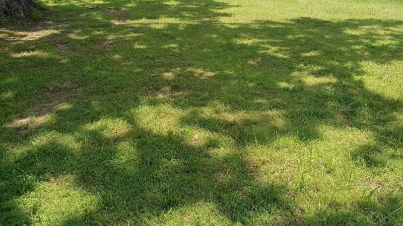 Crump Park - Crump, TN