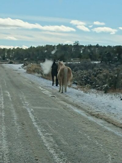 Fisher Trail Parking - Cuba, NM