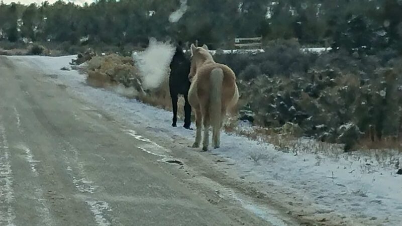 Fisher Trail Parking - Cuba, NM