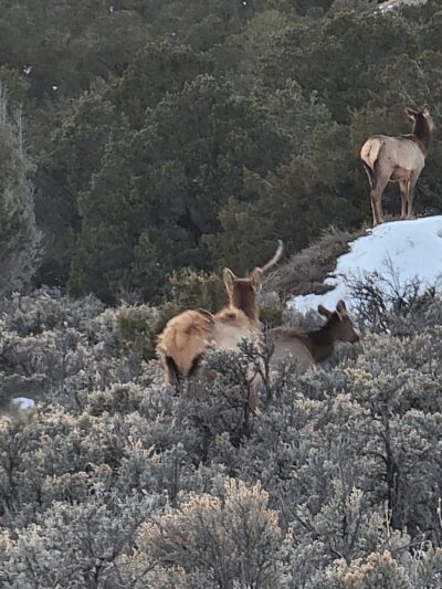 Fisher Trail Parking - Cuba, NM