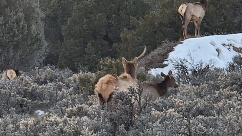 Fisher Trail Parking - Cuba, NM