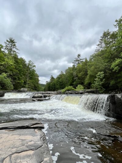 Neversink River Unique Area - Cuddebackville, NY